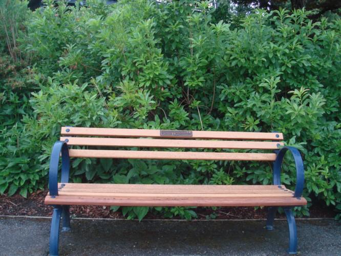 Humanistic Concern of Garden Bench